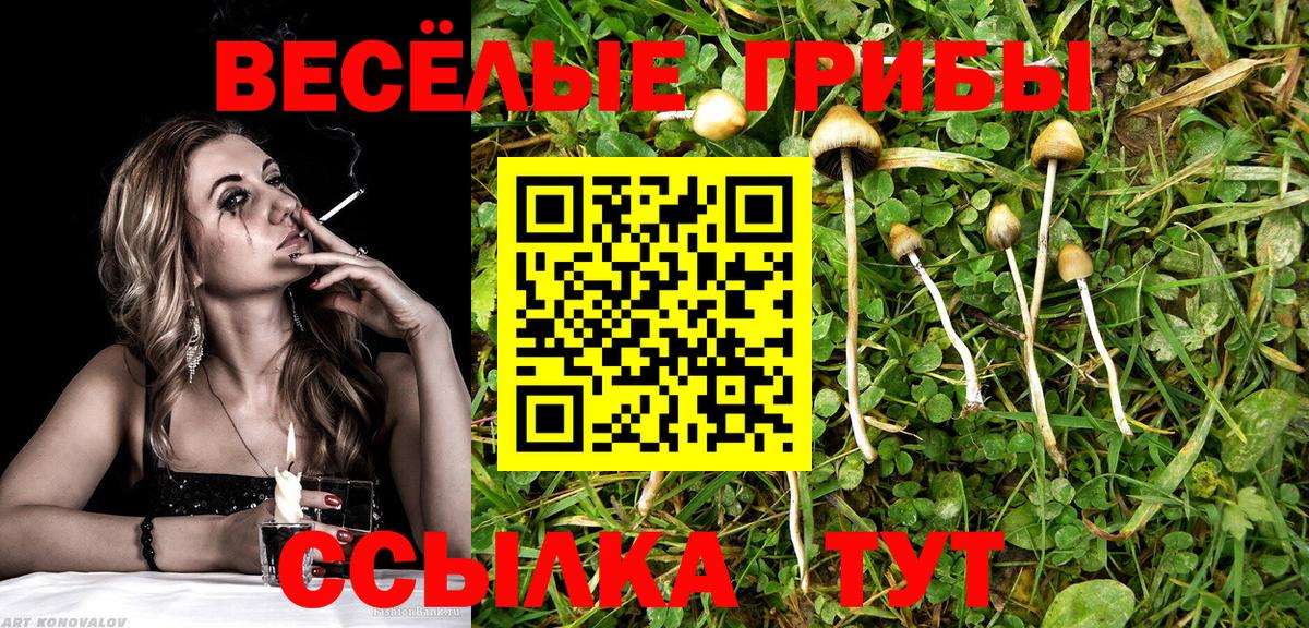 Галлюциногенные грибы мухоморы Борзя